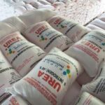 Petani keluhkan harga pupuk bersubsidi di Bulukumba capai Rp170 ribu  per sak