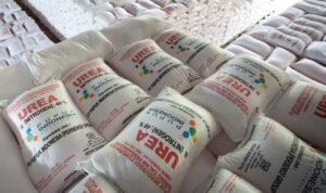 28d50690 0363 47eb b89d 1d3232d52498 169