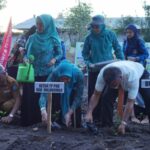 Andi Utta : Gerakan Menanam lombok nikmati hasilnyalawan Budaya Kuttu