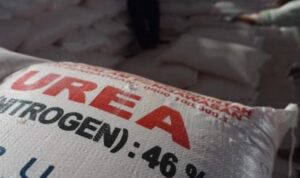 Penyebab Mahalnya Harga Pupuk Nonsubsidi