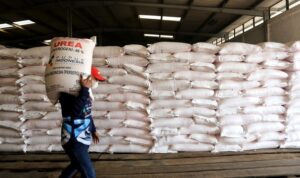 antarafoto stok pupuk subsidi 190822 da 3 ratio 16x9 1