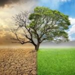 Tips Menjaga Kondisi Tubuh Saat Musim Pancaroba, Salah Satunya Jangan Jajang Sembarangan