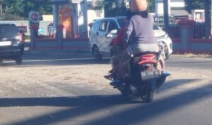 Ancam Nyawa Pengendara, Kerikil Bercampur Tanah Berserakan Di jalan Poros Palambarae