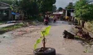 Kades Sebut Kerusakan Jalan dan Irigasi Skunder Di Desa Bijawang Kewenangan Provensi