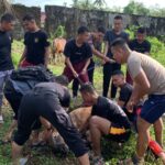 Brimob Bone Kurban 10 Ekor Sapi 