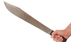 d6a17bdd 34b5 4a58 8c1f 77c281e3afdf 169