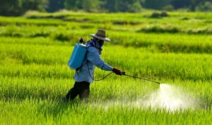 pasarmikro slider bg petani menyemprotkan pestisida alami 18 1920p 990p 1024x528 1