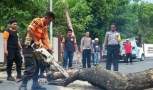 Selamat Ulang Tahun Om Ucu, Sang Penakluk Pohon di Bulukumba, Ini Harapannya ke Institusi Polri 