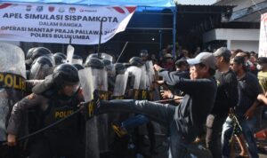 IMG 20240730 WA0062 copy 800x533