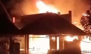 IMG 20240727 083206 copy 800x596