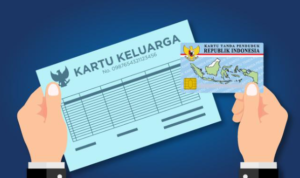 cara mengetahui no kk dari ktp