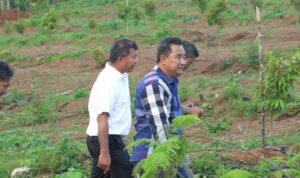 IMG 20240801 WA0051 copy 800x503