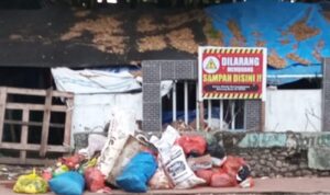 IMG 20240801 165739 copy 800x607