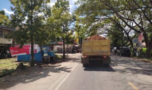 IMG 20240804 092300 copy 800x518