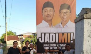 IMG 20240827 213819 copy 800x563