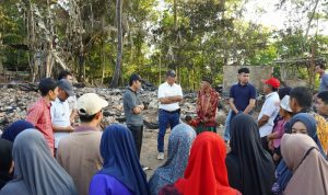 IMG 20240905 WA0082 copy 800x533