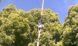 IMG 20240902 213915 copy 800x767