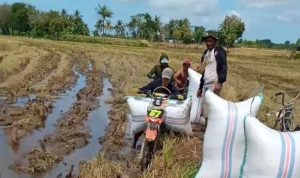 IMG 20240903 221213 copy 800x641