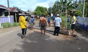 IMG 20240913 150026 copy 800x600