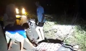 Breaking News: Tabrak Sapi, Pengendara Motor Di Desa Tanah Harapan Tewas Ditempat