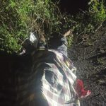 Identitas Korban Tewas Di desa Tanah Harapan Usai Tabrak Sapi Hingga Isi Kepala Terburai