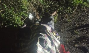 IMG 20240925 010219 copy 800x634