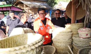 IMG 20241007 WA0008 copy 800x532