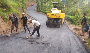 IMG 20241017 WA0048 copy 800x530