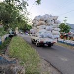 Mobil Angkutan Daun Cengkih Over Kapasitas Di Bulukumba Kembali Dikeluhkan