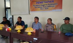 IMG 20241012 115637 copy 800x388