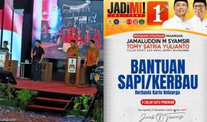 IMG 20241115 WA0120 copy 800x450