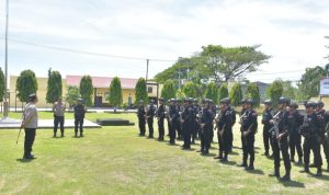 IMG 20241126 WA0044 copy 800x449