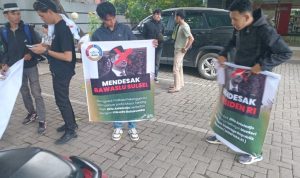 IMG 20241127 WA0078 copy 800x450