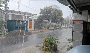 IMG 20241110 134425 copy 800x600