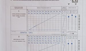 IMG 20241127 144840 copy 800x716