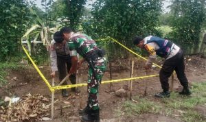 IMG 20241203 WA0035 copy 800x464