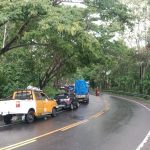 Rawan Tumbang, Warga Minta Pohon Besar Di Pinggir Jalan di Bulukumba Dipangkas 
