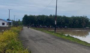 Puluhan Pelaku Balap Liar Kembali Beraksi Di Desa Bukit Harapan