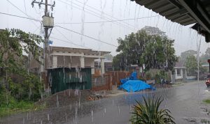 BPBD Bulukumba Ingatkan Warga Tidak Berteduh Di Bawa Pohon Saat Hujan 