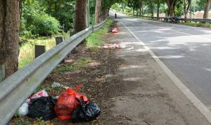 IMG 20241226 125608 copy 800x482