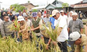 IMG 20250102 WA0044 copy 800x450