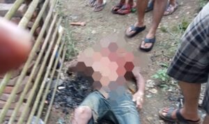 IMG 20250119 155512 copy 800x519