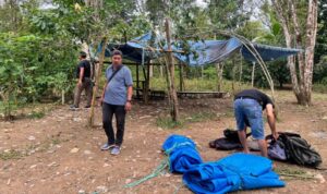 IMG 20250206 130904 copy 800x511