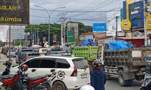 IMG 20250227 143951 copy 800x513