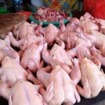 Jelang Ramadan, Harga Ayam Potong di Bukumba Naik, Emak-emak : Sudah Biasa Terjadi