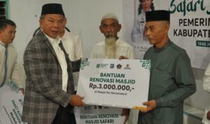 IMG 20250313 WA0065 copy 800x519