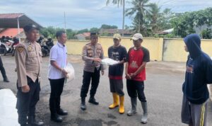 IMG 20250326 WA0033 copy 800x556