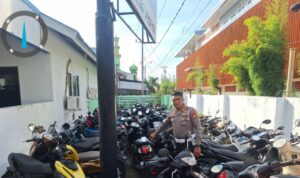 IMG 20250305 082259 copy 800x445