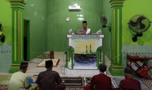 IMG 20250315 195906 copy 800x488