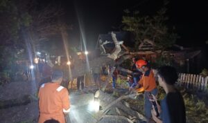 IMG 20250318 204605 copy 800x470